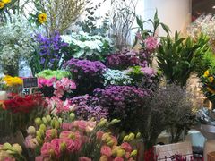 -花草间花行(法华镇路店)
