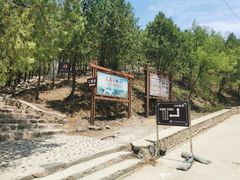 -北京十三陵国家森林公园蟒山景区