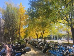 -新荟城(望京店)