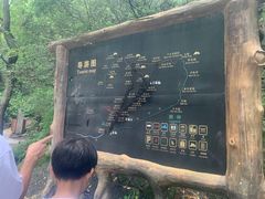 -王顺山国家森林公园