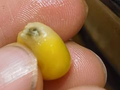 -米村拌饭(杭州国大城市广场店)