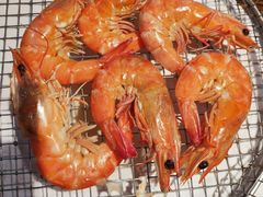 -海味当家·蒸锅海鲜(星海公园店)