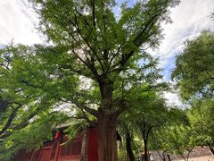 -晋祠公园