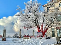 -亚布力新体委滑雪场