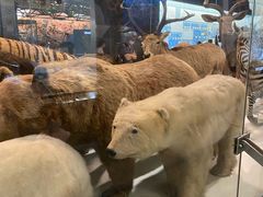 -浙江自然博物院(杭州馆)