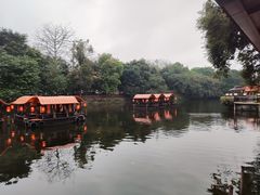 -侨美·唐荔园·40年地道粤菜