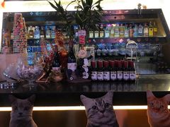 -Famous肥猫墨西哥音乐餐吧(五棵松华熙LIVE店)