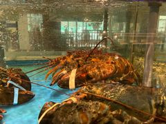 -海铺·渔家虾水饺(皇姑店)