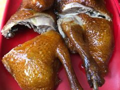 -光明刘冰乳鸽店(光明法政北路店)