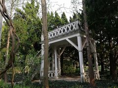-叶家花园
