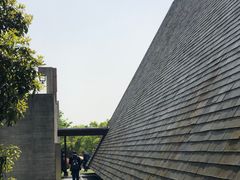 -美丽洲堂