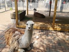 -长白岛森林公园