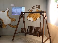 -豆逗聊愈猫阁Easy Life