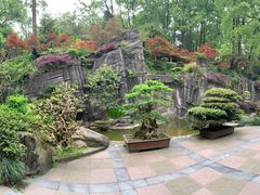 -南山植物园