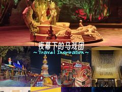 -广州长隆国际大马戏