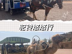 -水洞沟旅游区