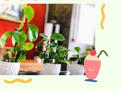 -真老陕(富达大厦店)