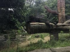 -杭州野生动物世界