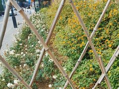 -DK45丹麦家居生活馆·依诺维绅(798店)