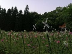 -晓港公园