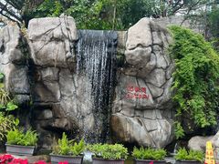 -九龙公园