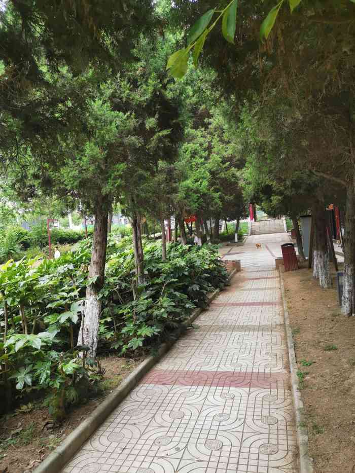 石羊公园-"石羊公园!附近最适合晚上散散步的地方,有.