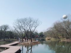 -西溪国家湿地公园