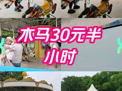 -银树楼(紫玉山庄东区店)