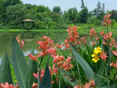 -桤木河湿地公园