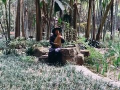 -望江楼公园