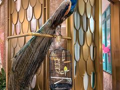 -雀蓝川菜(星悦汇店)