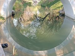 -北坞公园