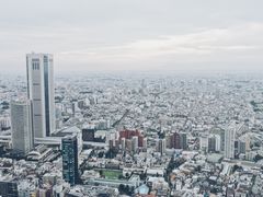-东京都厅舍