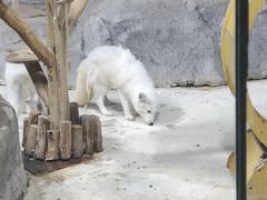 -海合安青岛极地海洋公园