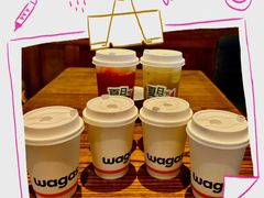 -Wagas沃歌斯(江浦路店)