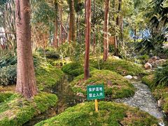 -成都市活水公园