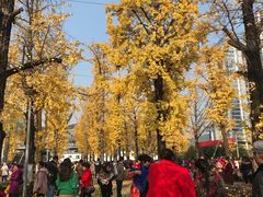 -百林公园-两江幸福广场