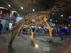 -国家自然博物馆