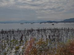 -湖畔居茶楼(湖滨店)