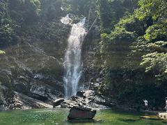 -鼎湖山风景区