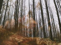 -山王坪喀斯特国家生态公园