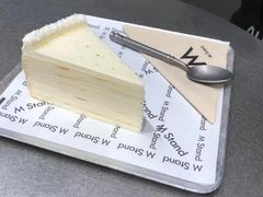 青椰千层-M Stand(君尚1F店)