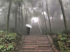 -青城山