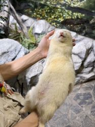 -Zoolung Zoolung动物主题公园(海信广场店)