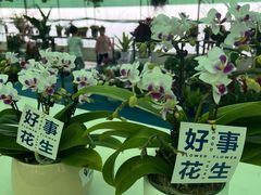 -嘉北郊野公园
