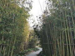 -同里国家湿地公园