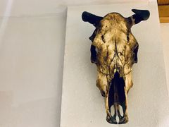 -丁记盐蘸牛肉·新杭菜(河东路店)