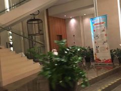 -苏州洲际酒店·大堂酒廊