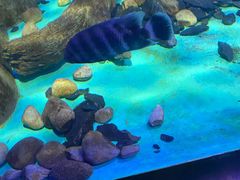 -常州海昌海洋探索馆