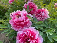 -山东大学(兴隆山校区)